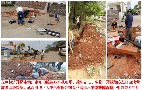 草莓视频官网在线观看检测