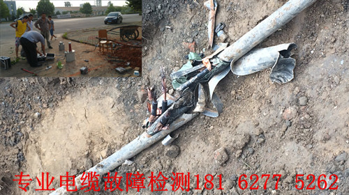 草莓视频官网在线观看点找到.jpg
